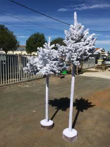 Décoration avec des sapins sur pieds hauteur variables differentes couleurs possible