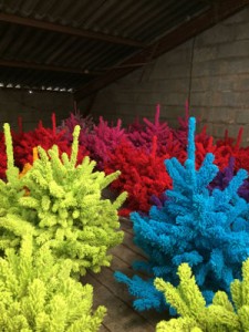 sapins floqués couleurs