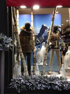 Décoration-magasin-tronc-bouleau