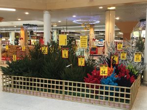 exposition-magasin-super-u