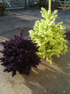 Sapin floqué noir et vert anis