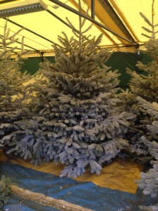 Sapin floqué Blanc