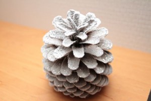 pomme de pin enneigés