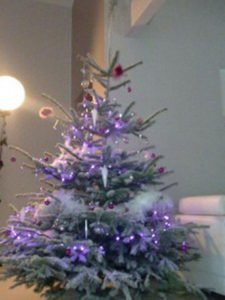 Mon beau sapin
