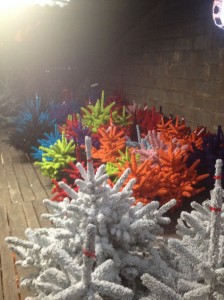 Sapins floqués multicolores