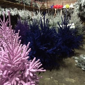 Nos sapins floqués en différents coloris