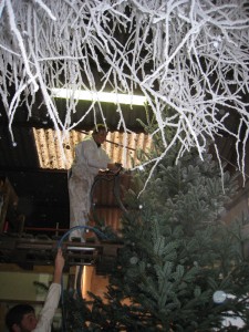 Rochefort-sapins