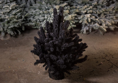 sapin-floqué-noir