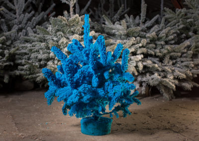 sapin-floqué-bleu-70cm