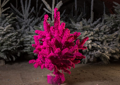 sapin-floqué-fuschia