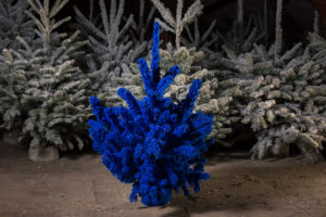 sapin-floqué-bleu-dur