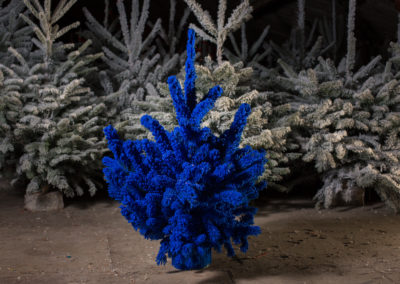 sapin-floqué-bleu-dur