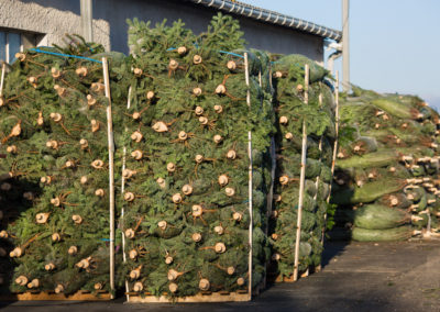 palettes sapins rochefort sapins