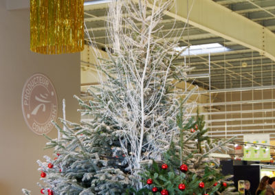 décor-galerie-marchane-intermarché-vaux/mer