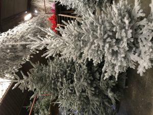 sapins floqués et enneigés