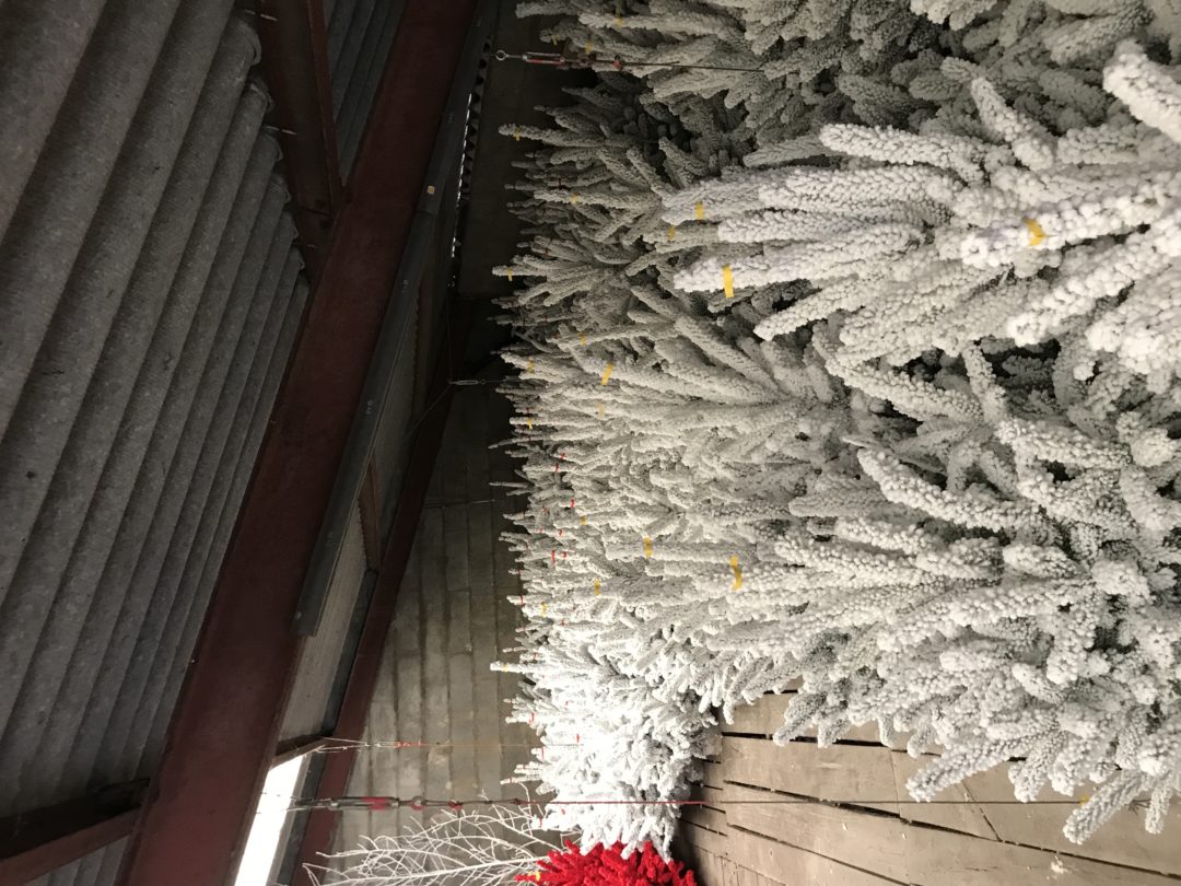 sapin de noel floqué Rochefort Sapins Spécialiste des sapins de