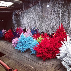 sapins floqués couleurs