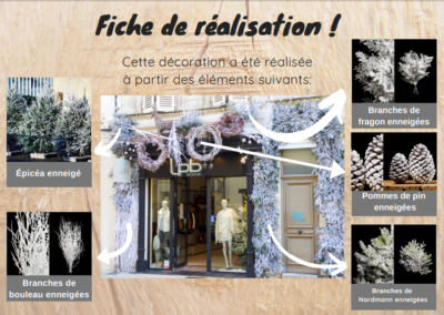 Rochefort-Sapins-décoration-Noël-vitrine