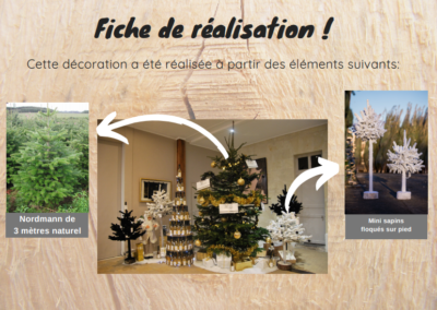 Rochefort-Sapins-décoration-intérieur