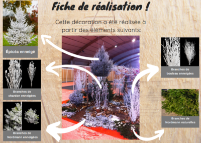 Rochefort-Sapins-décoration-événement-Noël
