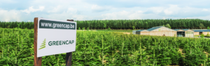 Rochefort Sapins - groupe GreenCap